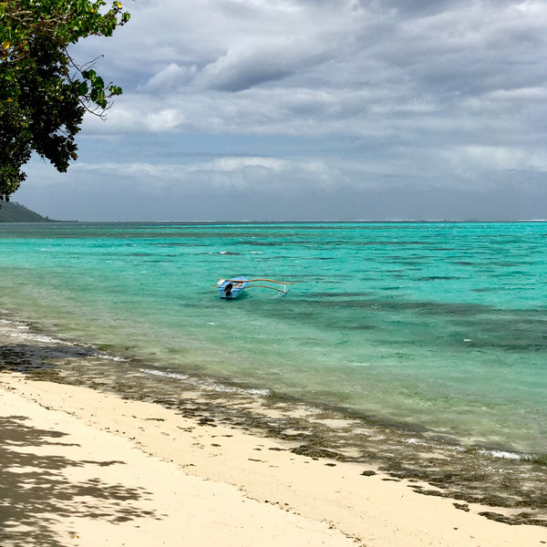 Moorea, Tahiti, kriket broadhurst