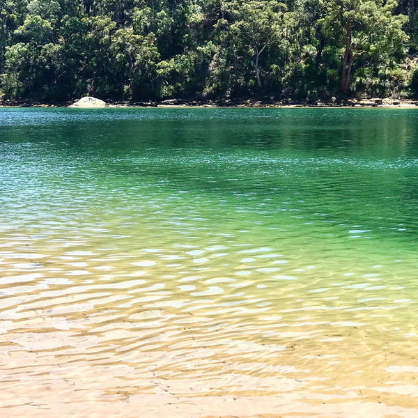 The Basin, Ku-ring-gai Chase National Park 