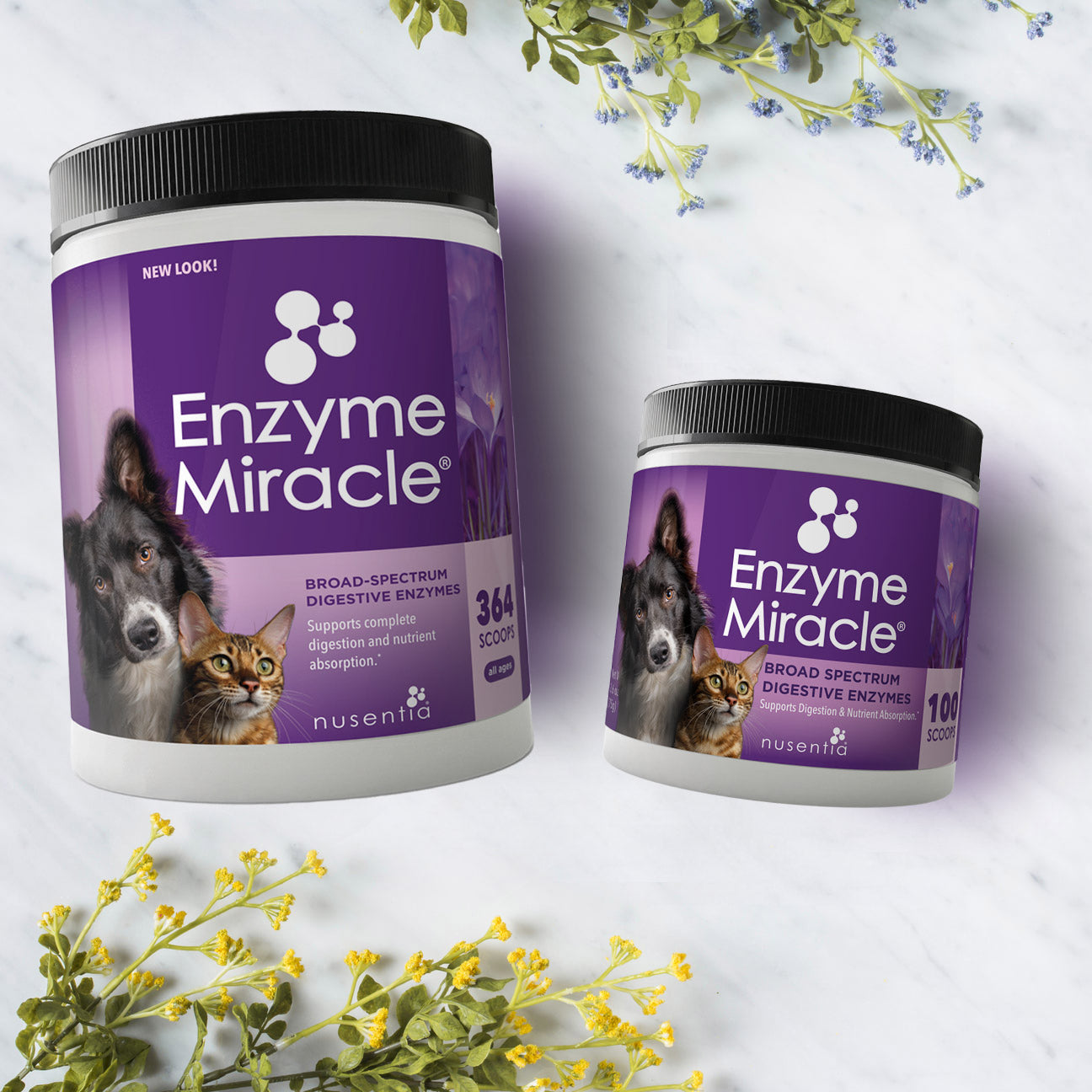 are pancreatic enzymes safe for dogs