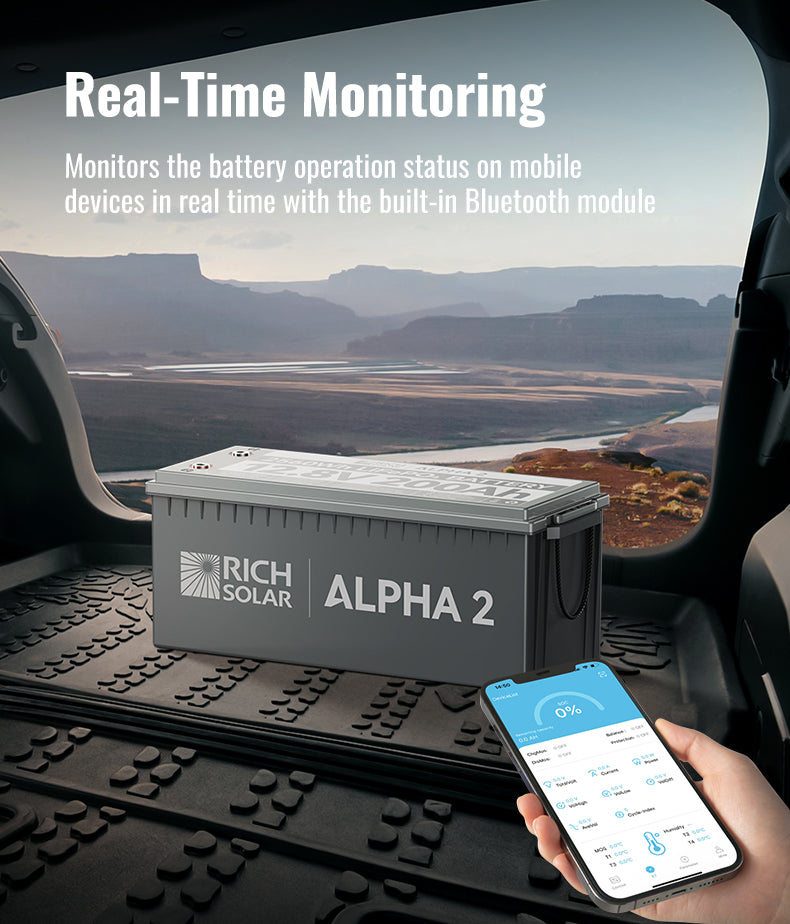 ALPHA 2 Real-Time Monitoring