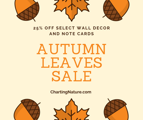autumn leaves sale