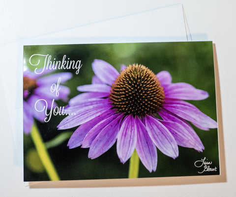 Thinking of You Echinacea flower by Lisa Blount Photography