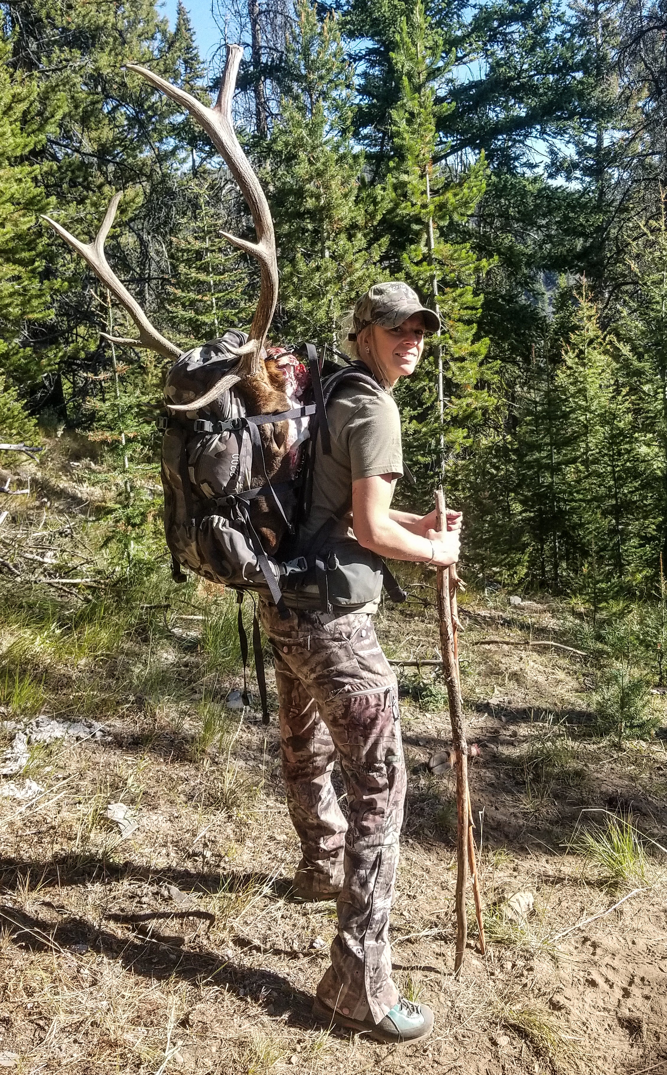 Public Land Elk Hunting