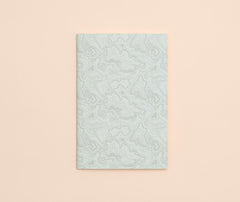 plain | topography