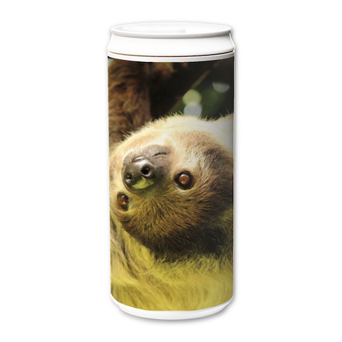 Eco Amigo - Vancouver Aquarium Sloth 1