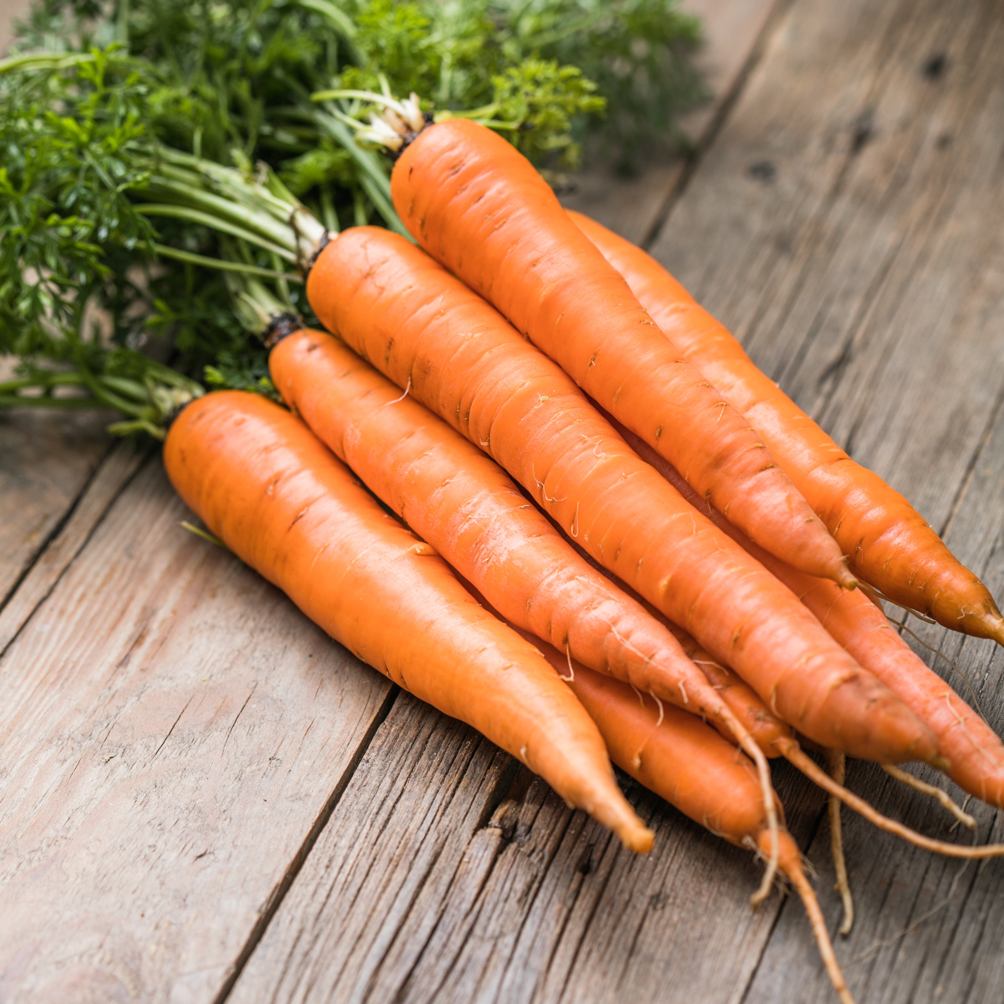 5 Carrot Juice Benefits for Your Skin - Juicy Chemistry