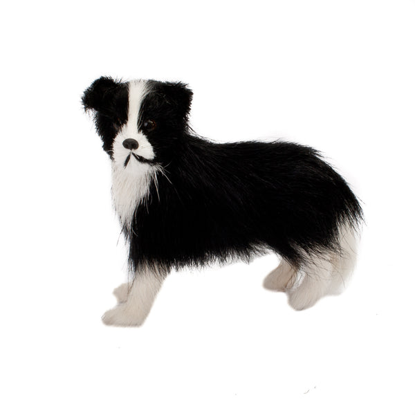 Small Fur Boarder Collie Sheep Dog