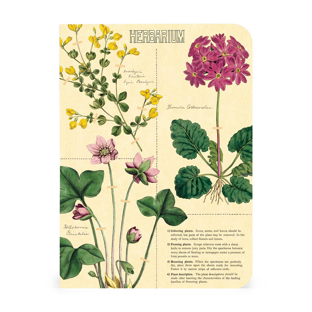 Cavallini Mini Notebook Herbarium Blank