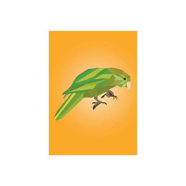 eminentd Geo Bird Card Kākāpō