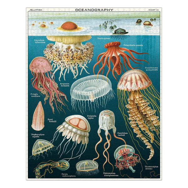 Cavallini 1000 Piece Puzzle Jellyfish