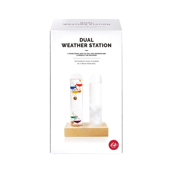 Duel Weather Station