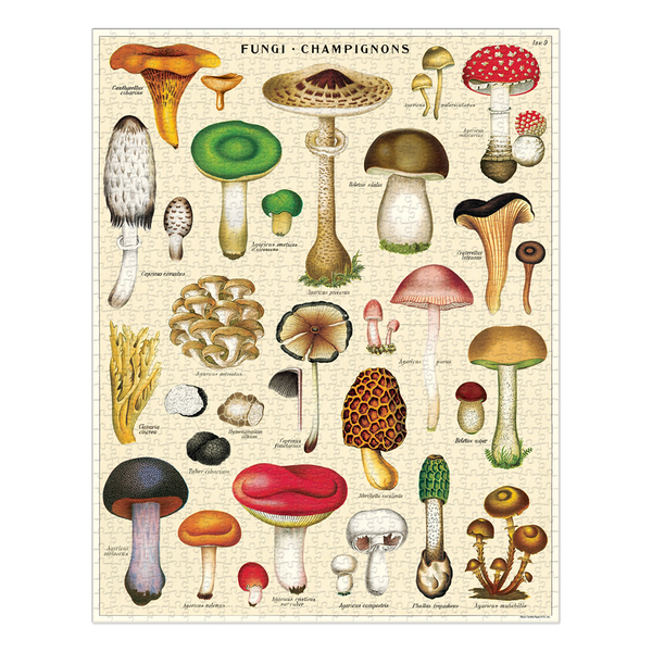 Cavallini 1000 Piece Puzzle Mushrooms