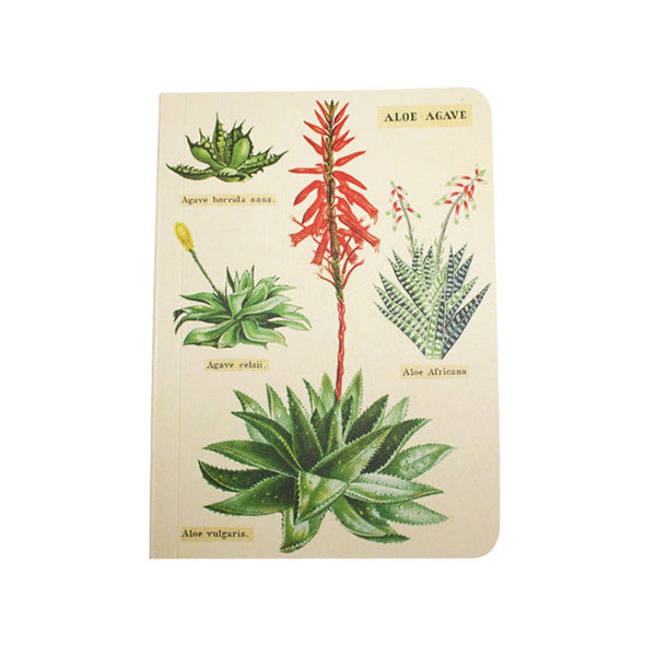 Cavallini Note Mini Notebook Succulents Grid