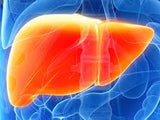 Liver Disease