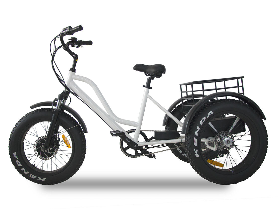 ebike motor 3 wheels