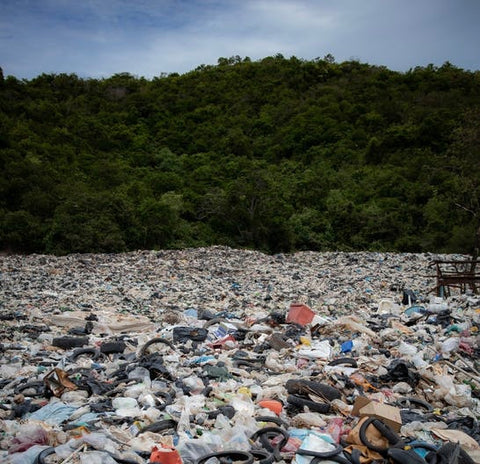 Single use plastic pollution