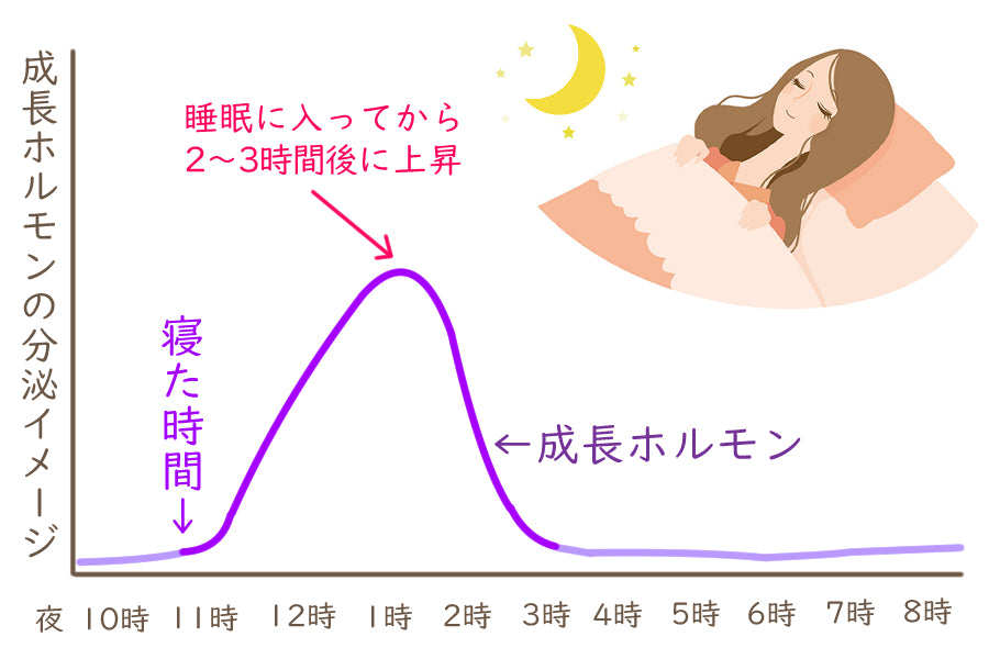 成長ホルモン分泌イメージ