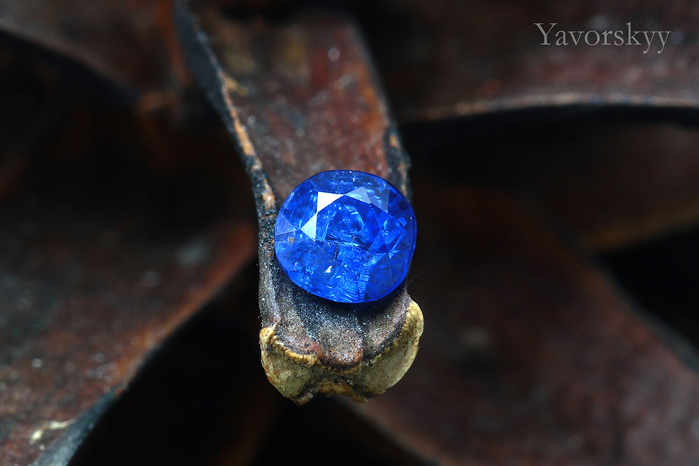 Cobalt blue spinel Vietnam
