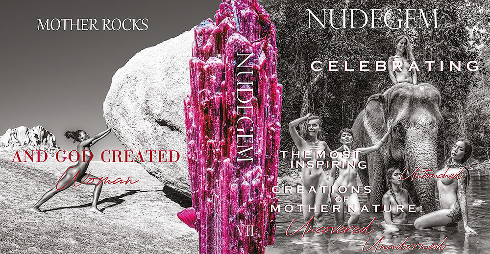 Nudegem book