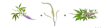 tencture-herbs-3.png