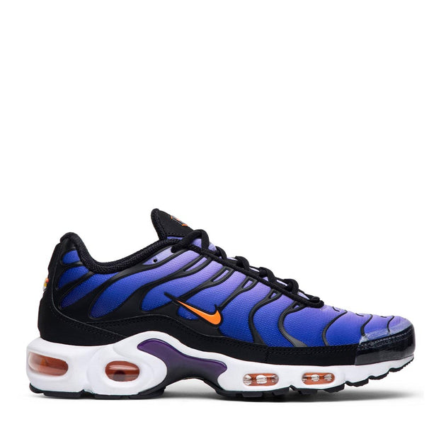 nike air max plus purple and blue