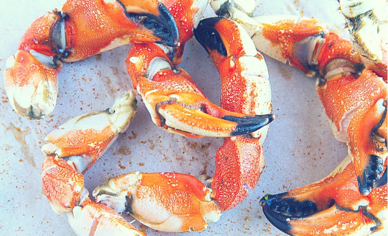 Fresh Stone Crabs