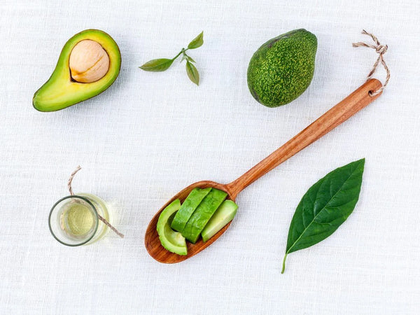 Avocado Trees: Everything You Ever Wanted to Know