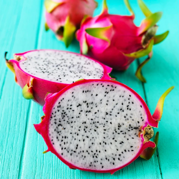 Video: Dragon Fruit Cactus