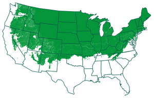 2-6 outdoors       Map