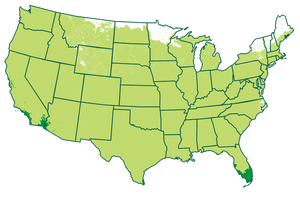 4-11 patio         /           10-11 outdoors       Map