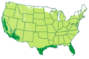 4-11 patio         /           9-11 outdoors       Map