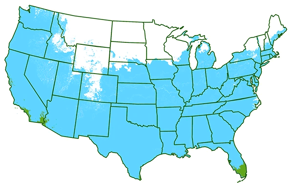 4-11 patio
/
10-11 outdoors
Map