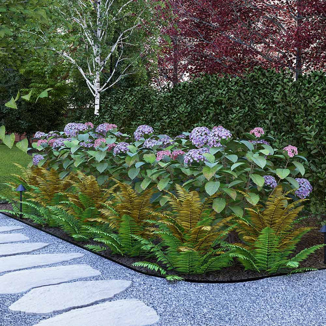 Cool-Climate Shade Garden Kit