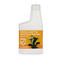 Fiddle Leaf Fig Fertilizer