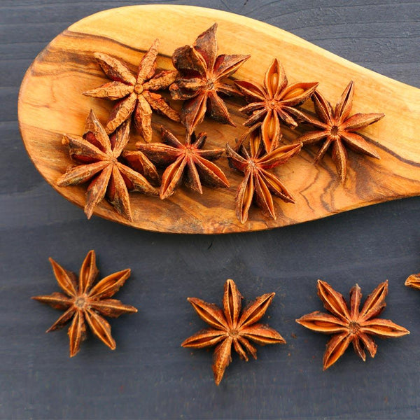 Star Anise Plants for Sale