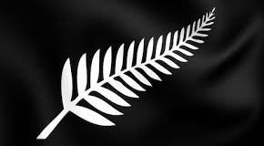 New-Zealand-Silver-fern-bracelet-inspiration