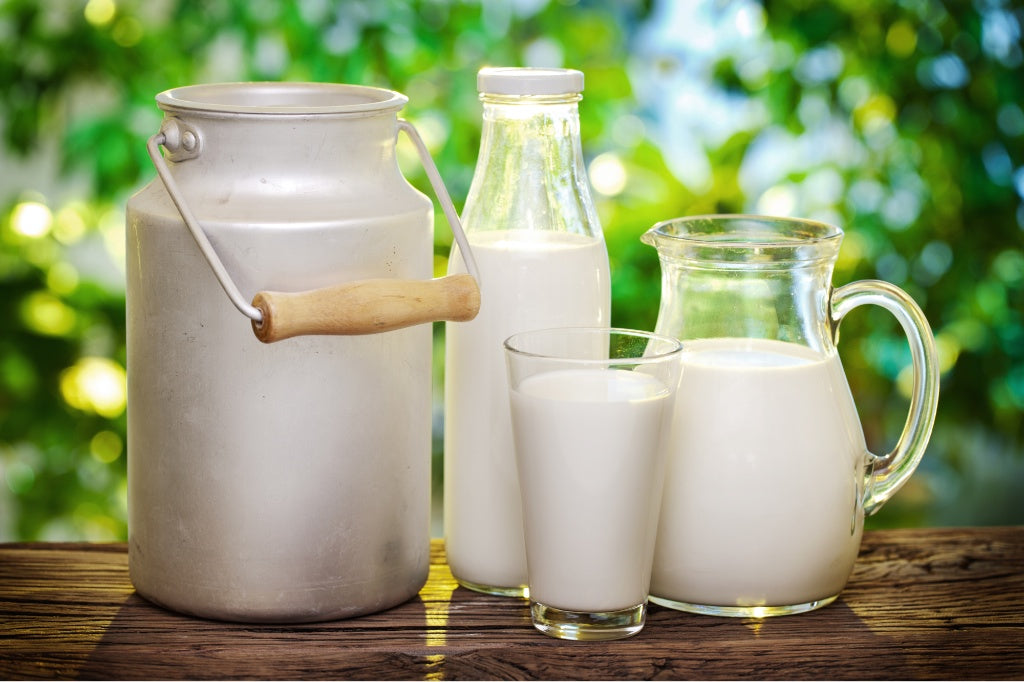 Organic Milk in Glass Bottle, Eco-Friendly