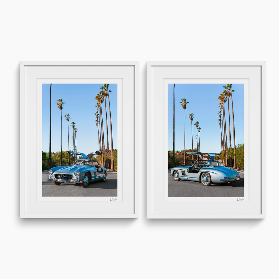 Gullwing Diptych, Mercedes-Benz