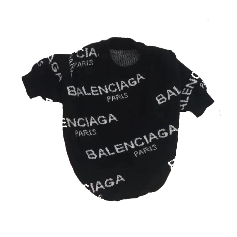 balenciaga sweater for dogs