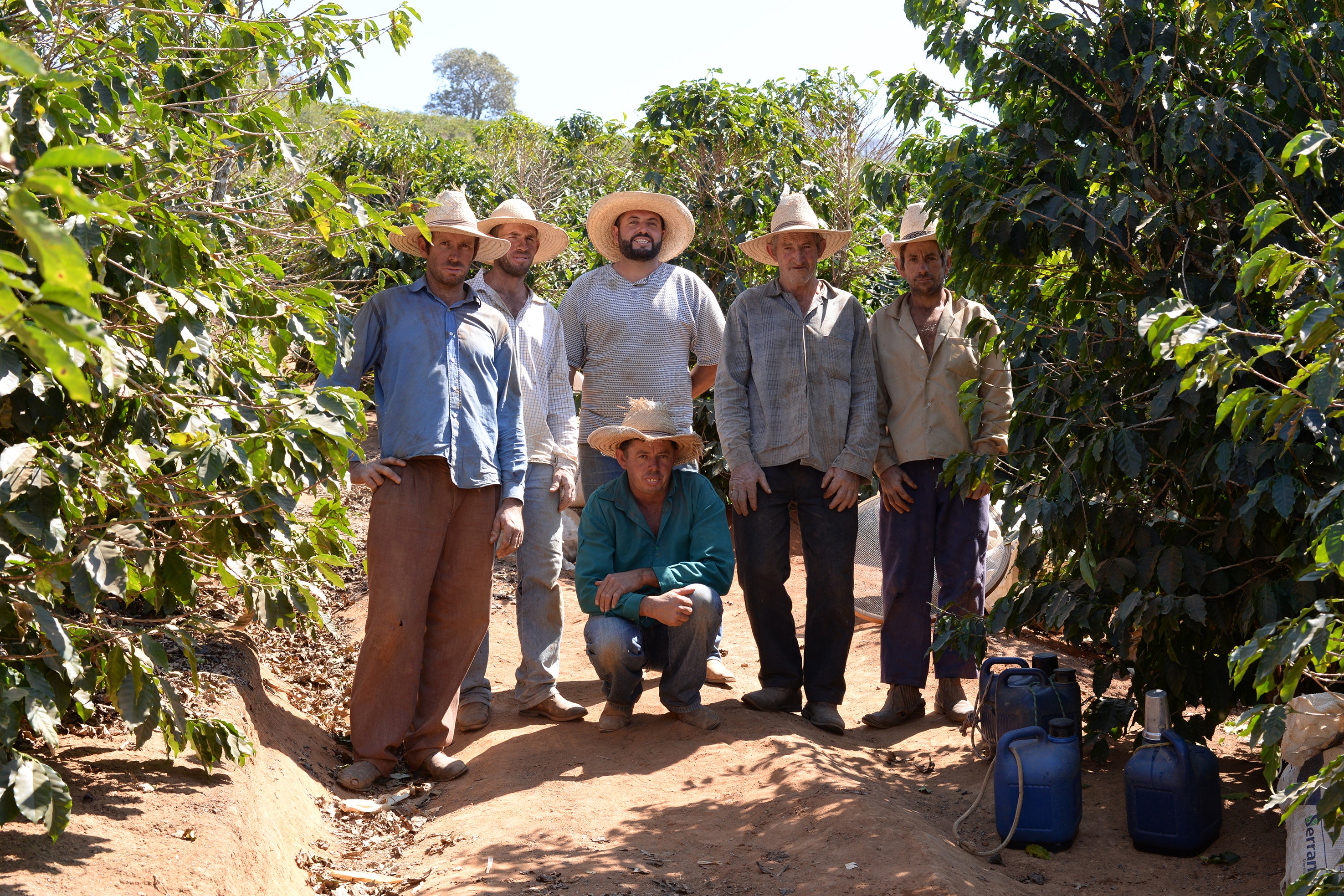 bobolink farmers union coffee brazil faf