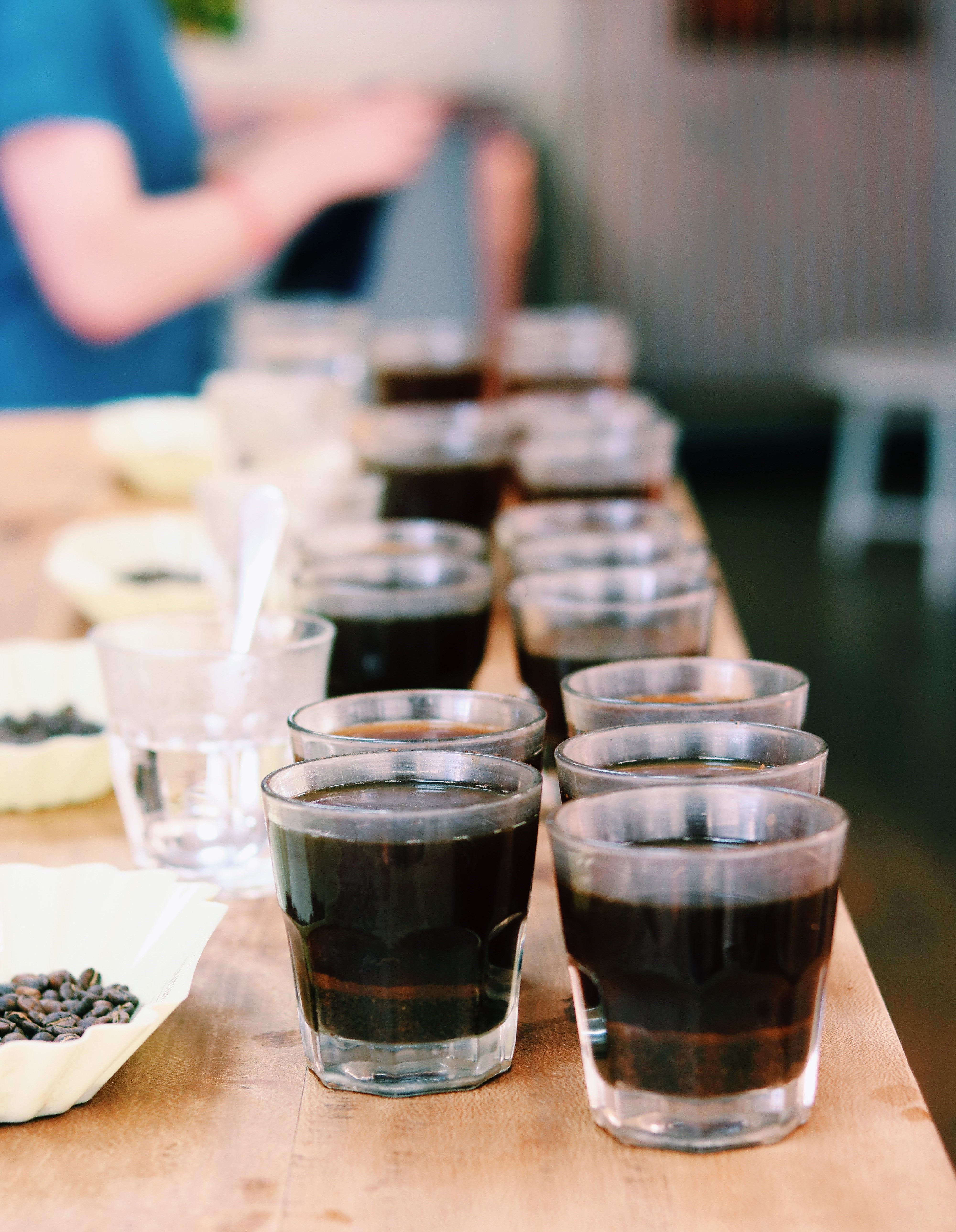 union hand roasted coffee cupping microlots