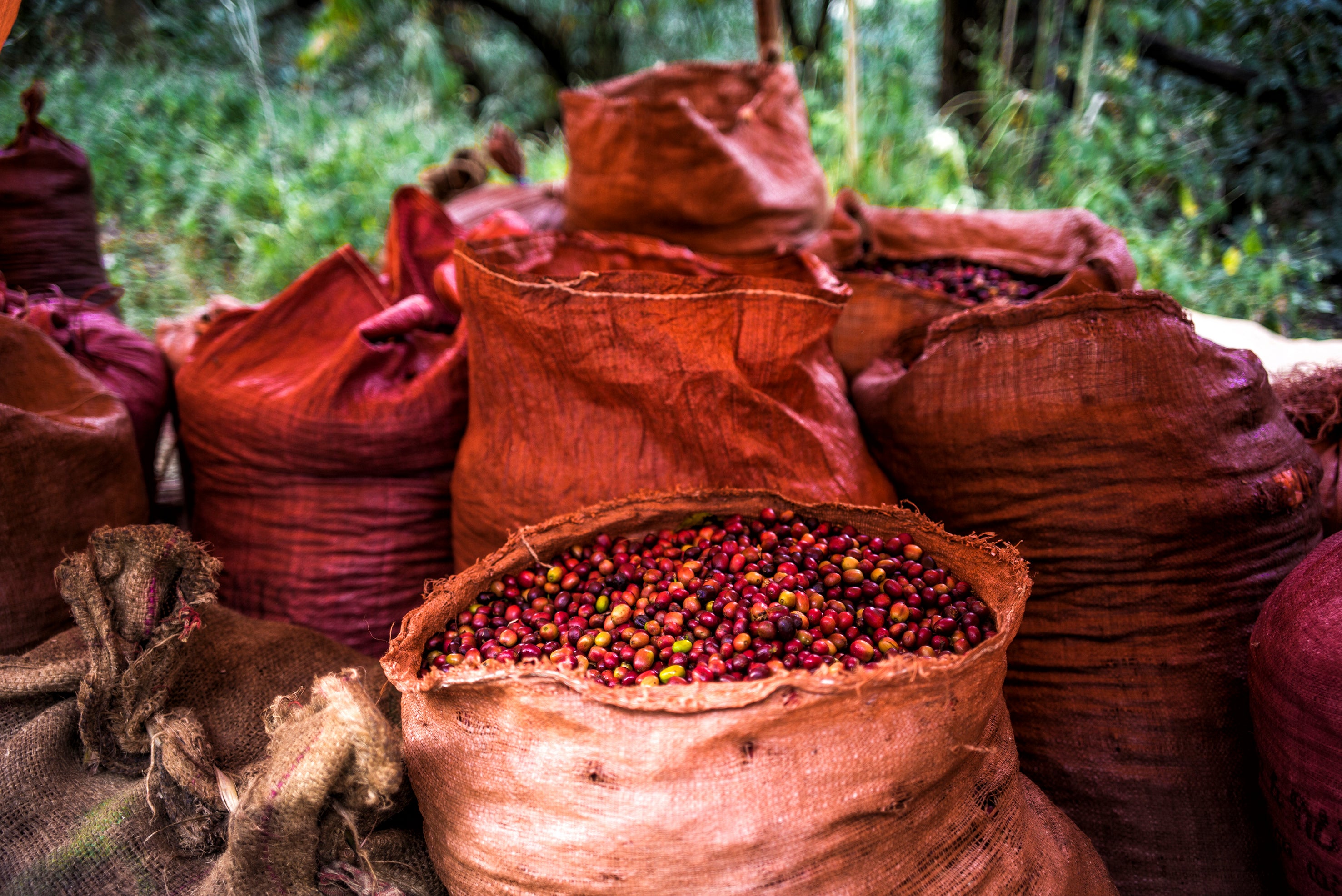 union hand roasted coffee coffee crisis emily garthwaite