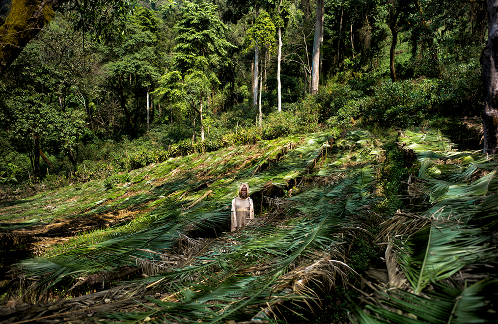 A Farmer in the Yayu Wild Forest