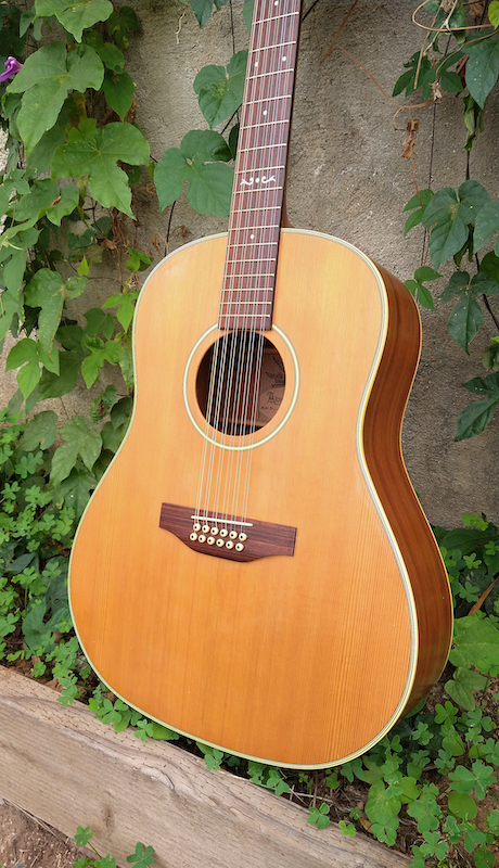 alvarez 5037 12 string