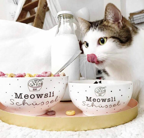 Schüssel Näpfe bowl meowsli katzengeschirr napf