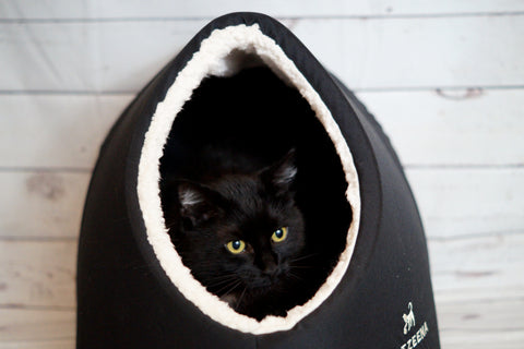 Schwarze Katze in Katzeena Kuschelhöhle