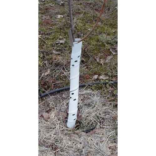 100 X 2FT/50MM Clear Spiral Tree Guards Plant Rabbit Protection And Support 