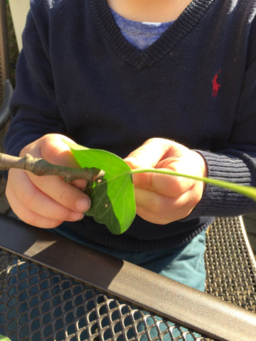 Fine motor skills threading leaves