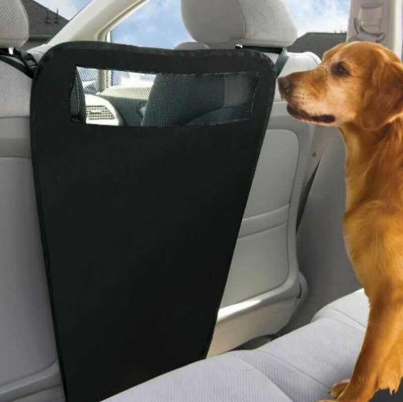 car dog guard