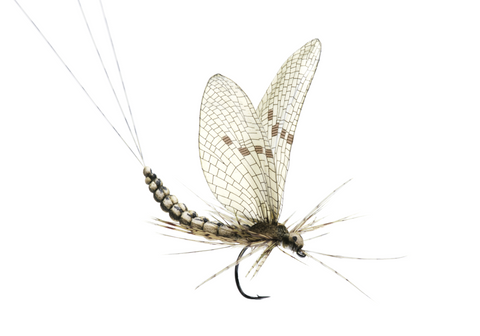 Mayfly Dun tying instructions